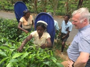 Guy Hilton FIH shares his experience of visiting Hope & Glory’s tea gardens in Sri Lanka | Institute of Hospitality