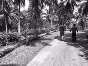 Guy Hilton FIH shares his experience of visiting Hope & Glory’s tea gardens in Sri Lanka | Institute of Hospitality